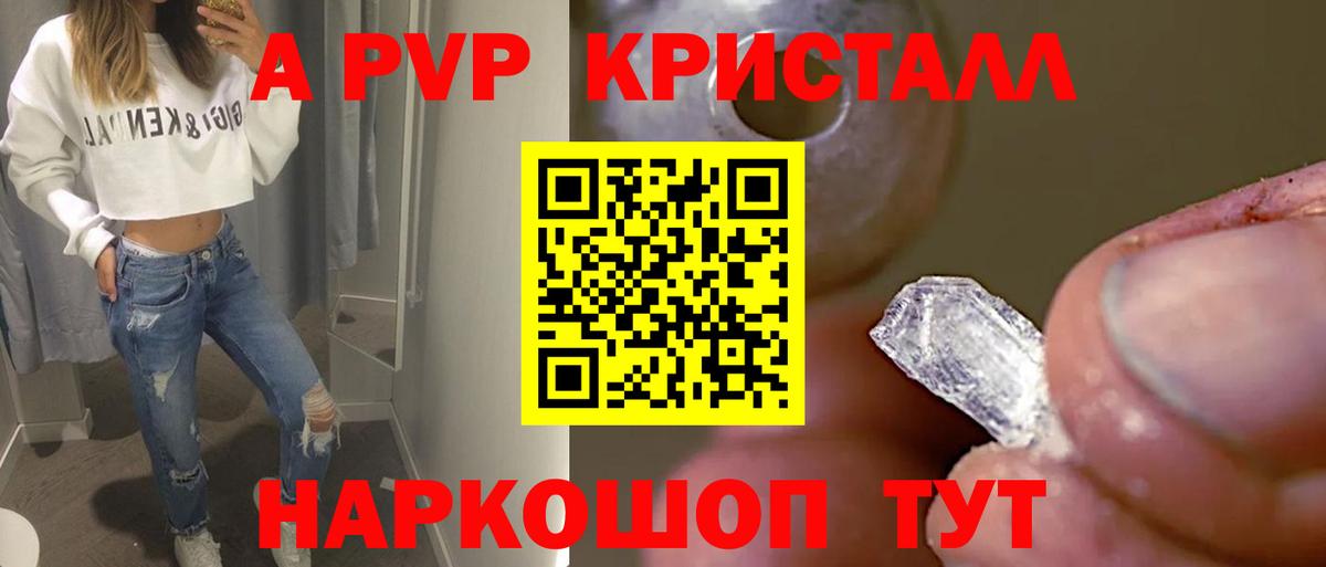 Альфа ПВП СК КРИС Шахты