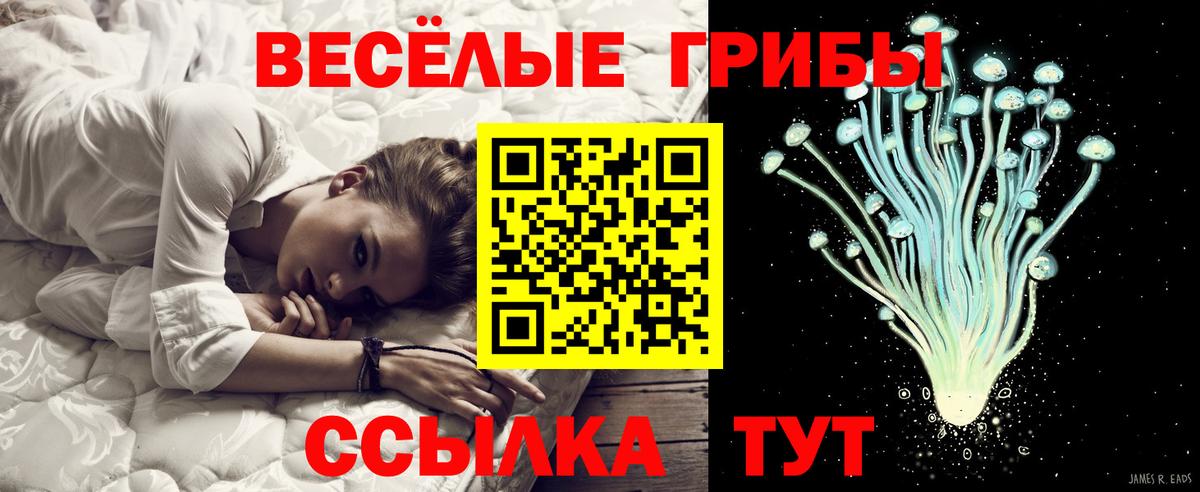Псилоцибиновые грибы ЛСД Шахты