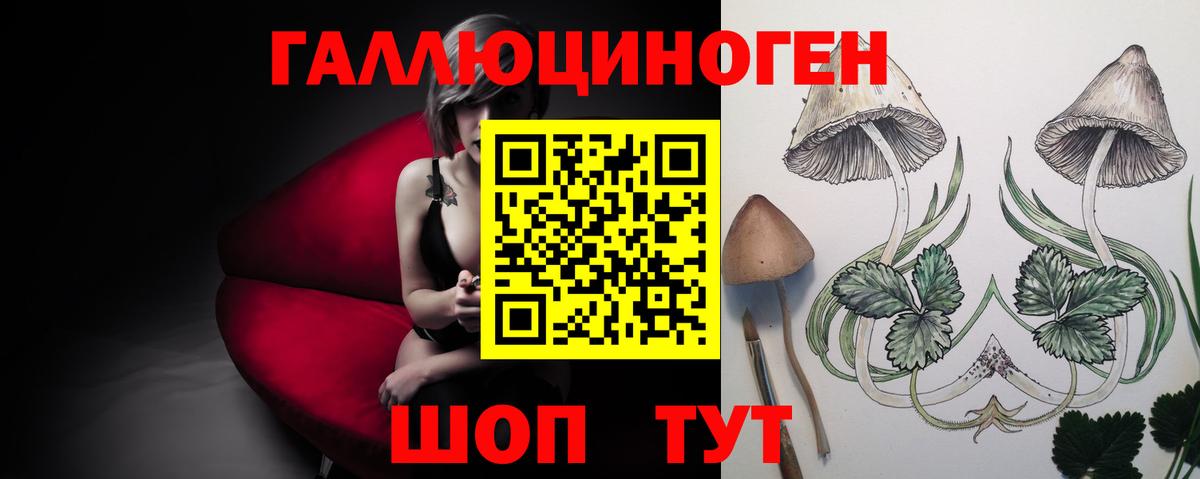 Шахты  Галлюциногенные грибы Cubensis  Вход с VPN 